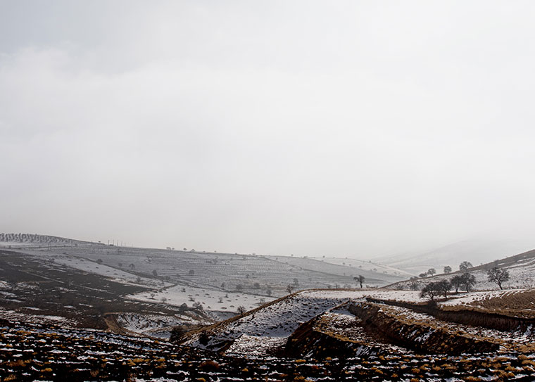 Landscape / Nature Photo By Adrin Alinejad