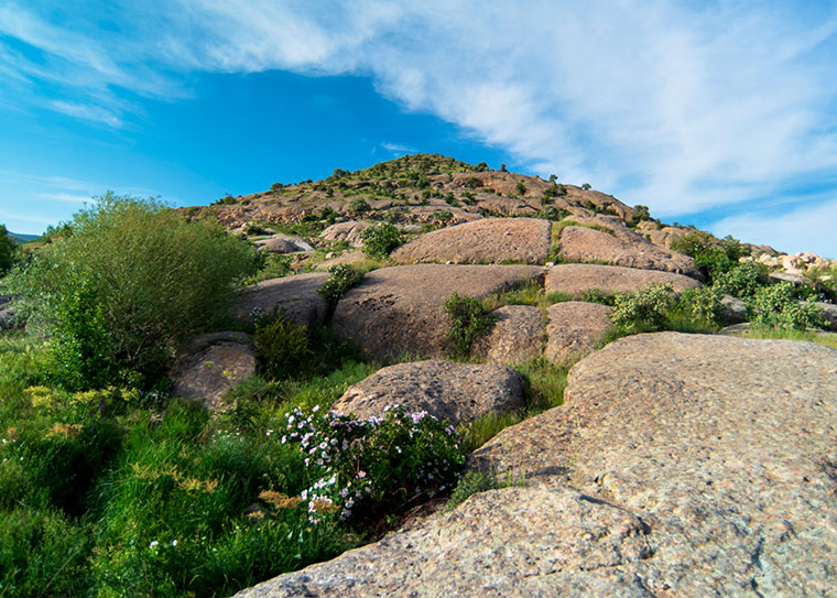Landscape / Nature Photo By Adrin Alinejad
