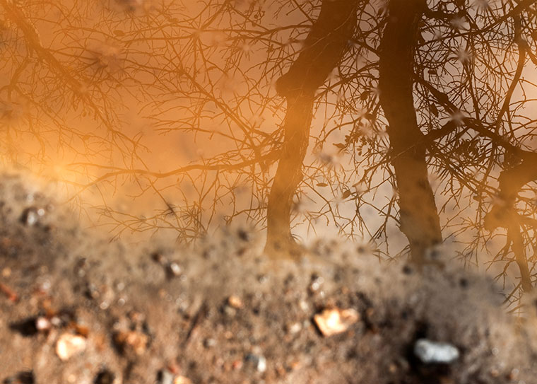 Landscape / Nature Photo By Adrin Alinejad