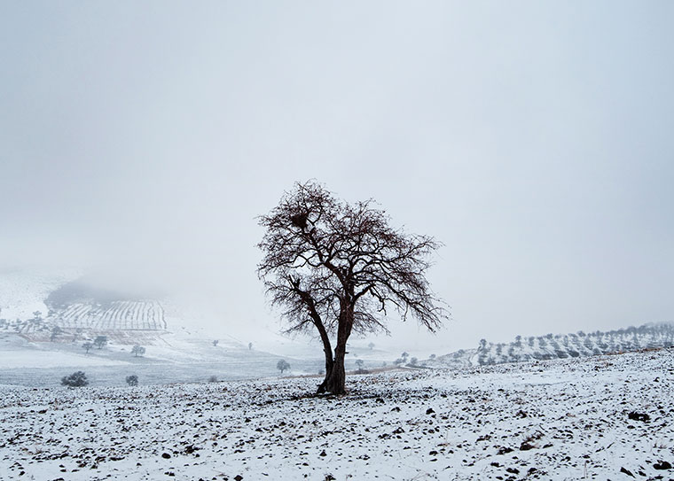 Landscape / Nature Photo By Adrin Alinejad