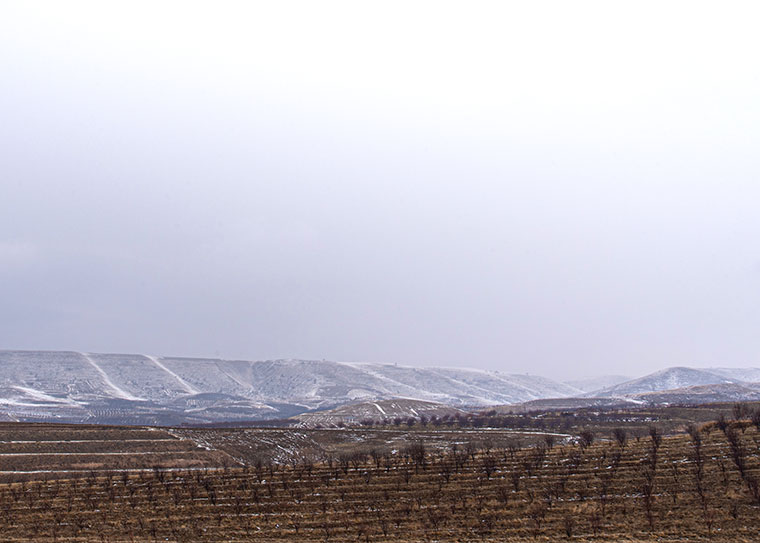 Landscape / Nature Photo By Adrin Alinejad