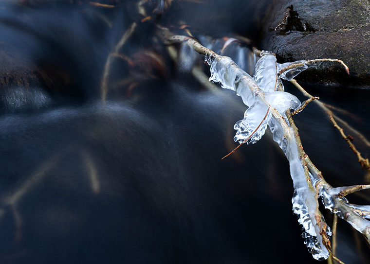 Landscape / Nature Photo By Adrin Alinejad