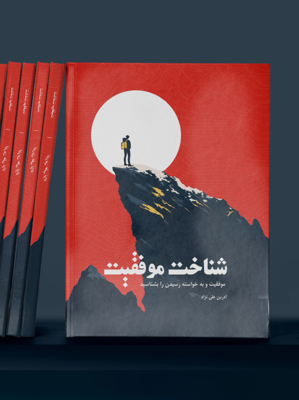 Understanding success by adrin alinejad